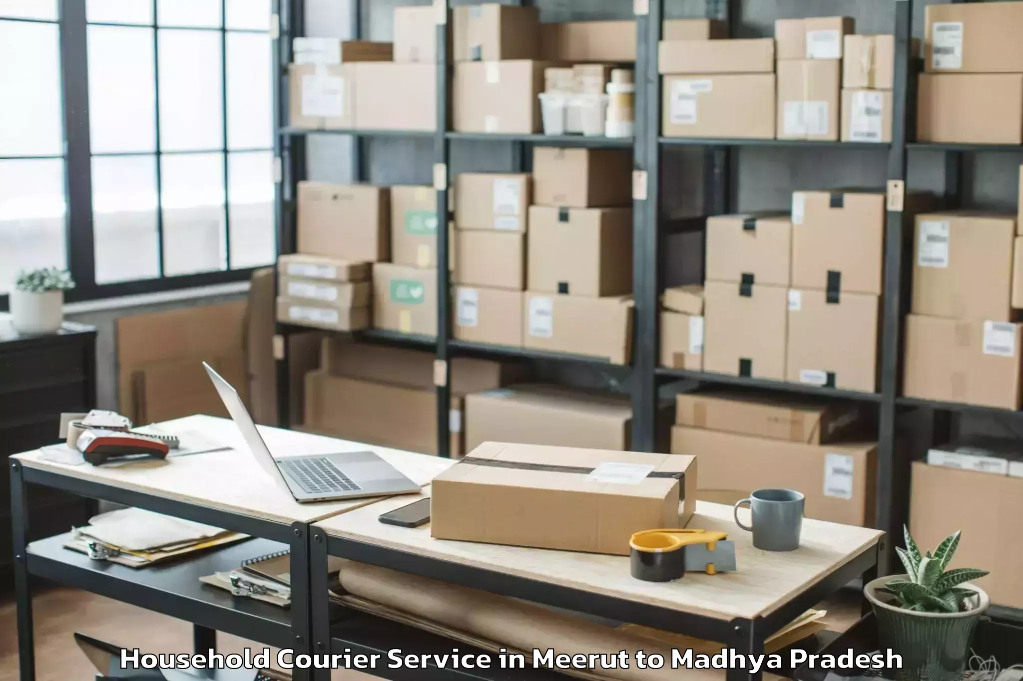 Get Meerut to Badarwas Household Courier